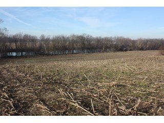 Property photo 1 - LAND AUCTION - 60+/- ACRES IN 1 TRACT IN DAVIESS COUNTY, INDIANA